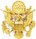 U.S. Army Badge